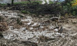 Καιρός: Περιορίζεται η κακοκαιρία Adel