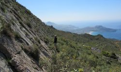 O σεισμικός χάρτης της Ελλάδας αποκαλύπτεται: Επιστήμονες κατέγραψαν τα ενεργά ρήγματα – Ποια και γιατί παραμένουν ακόμα αόρατα