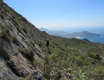 O σεισμικός χάρτης της Ελλάδας αποκαλύπτεται: Επιστήμονες κατέγραψαν τα ενεργά ρήγματα – Ποια και γιατί παραμένουν ακόμα αόρατα