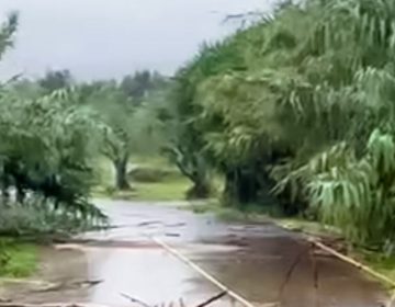 Σε ετοιμότητα Περιφέρειες και δήμοι στην Θεσσαλία για υπερχειλίσεις ποταμών