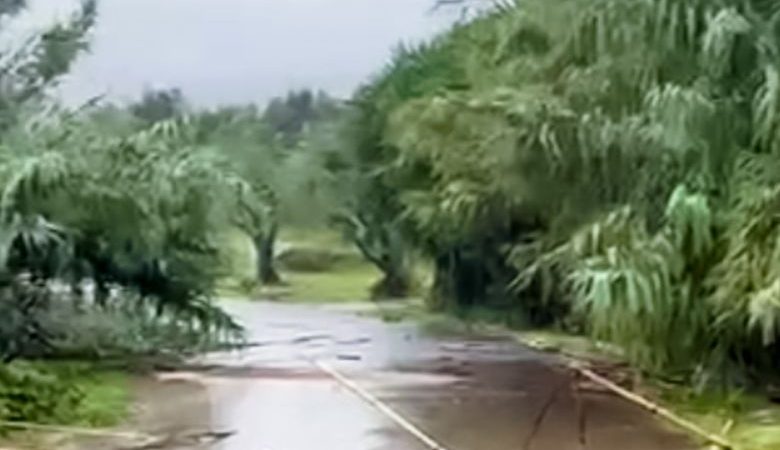 Σε ετοιμότητα Περιφέρειες και δήμοι στην Θεσσαλία για υπερχειλίσεις ποταμών