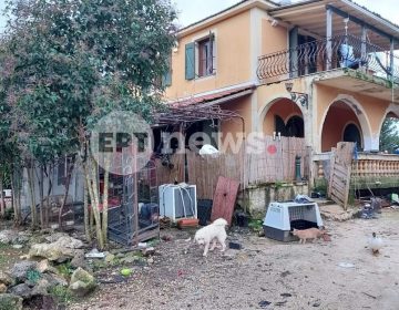 Ανείπωτη τραγωδία στη Ζάκυνθο: Συγκλονίζει ο θάνατος του 2χρονου – «Δεν μπορούσαν να πάρουν το παιδί από τα δόντια του πίτμπουλ»