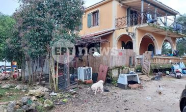 Ανείπωτη τραγωδία στη Ζάκυνθο: Συγκλονίζει ο θάνατος του 2χρονου – «Δεν μπορούσαν να πάρουν το παιδί από τα δόντια του πίτμπουλ»