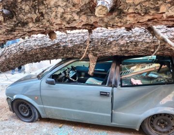 Πτώση μεγάλου δένδρου στην Θεσσαλονίκη προκάλεσε ζημιές σε αυτοκίνητα στη Χαριλάου
