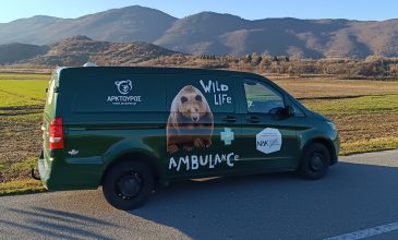 Το πρώτο ασθενοφόρο άγριων θηλαστικών στην Ελλάδα απέκτησε ο Αρκτούρος