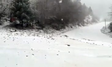 Χιόνια, ψύχος και αλλαγές στη λειτουργία των σχολείων της Στερεάς Ελλάδας