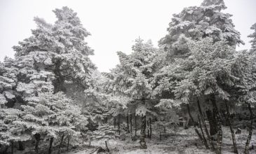 Καιρός: Άνοδος της θερμοκρασίας με παροδικές νεφώσεις και ασθενείς χιονοπτώσεις