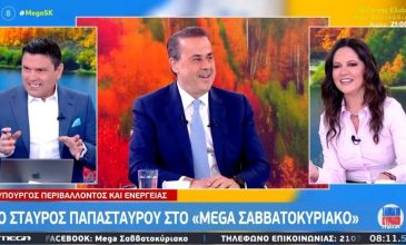 Παπασταύρου: Η Ελλάδα μπορεί να λειτουργήσει ως κόμβος ώστε να μεταφέρεται ηλεκτρική ενέργεια από τη Σαουδική Αραβία στην Ευρώπη