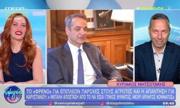 Σίσσυ Χρηστίδου σε Μητσοτάκη: «Και το να είσαι γιος πρωθυπουργού μέχρι να γίνεις πρωθυπουργός θα έπρεπε να έχει μεγάλη απόσταση»