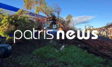 Στο νοσοκομείο μηχανοδηγός τρένου επάνω στο οποίο έπεσαν μεγάλα κλαδιά δέντρου