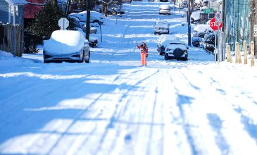 Ισχυρές χιονοπτώσεις πλήττουν τις ΗΠΑ – Ιγουάνα πέφτουν από τα δέντρα, σπάνιες θερμοκρασίες υπό το μηδέν στη Φλόριντα