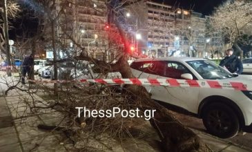 Ο Βαρδάρης σαρώνει τη Θεσσαλονίκη – Δεκάδες κλήσεις δέχθηκε η Πυροσβεστική, πτώσεις δέντρων και διακοπές ρεύματος