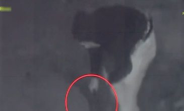 Συγκλονίζει ο κτηνοτρόφος από το Ρέθυμνο για το καρτέρι θανάτου: «Με άφησαν πεθαμένο, μου έκοψαν τη γλώσσα»