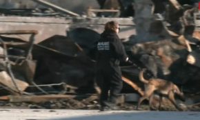 Με την βοήθεια εκπαιδευμένων σκύλων συνεχίζονται οι έρευνες στη «Βιολάντα» για τη φονική έκρηξη