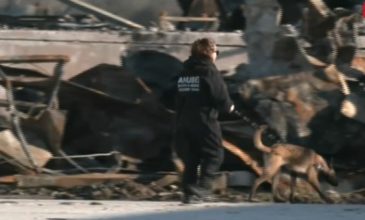 Με την βοήθεια εκπαιδευμένων σκύλων συνεχίζονται οι έρευνες στη «Βιολάντα» για τη φονική έκρηξη