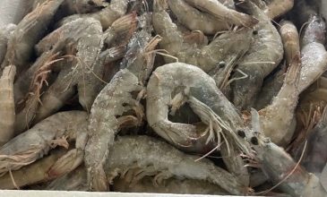 Περιφέρεια Αττικής: Νέες κατασχέσεις 5,6 τόνων ακατάλληλων τροφίμων