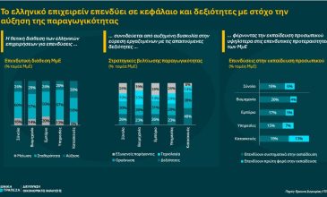 Επενδύσεις σε κεφάλαιο και δεξιότητες από τις ελληνικές επιχειρήσεις