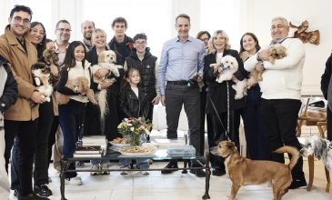 Συνάντηση Μητσοτάκη με Έλληνες που επαναπατρίστηκαν από τη Μέση Ανατολή μαζί με τα ζώα συντροφιάς τους
