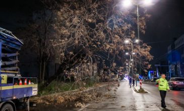 Διακοπή κυκλοφορίας στην οδό Πειραιώς από πτώση δέντρου