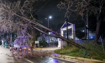 Πάνω από 30 πτώσεις δέντρων στον δήμο Βάρης-Βούλας-Βουλιαγμένης από την κακοκαιρία