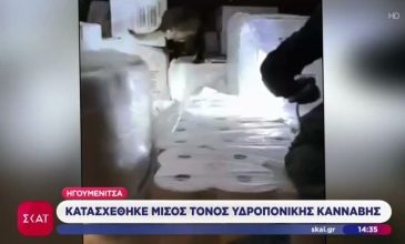 Κατασχέθηκαν πάνω από 500 κιλά κάνναβης στο λιμάνι της Ηγουμενίτσας – Συνελήφθη ένας 50χρονος