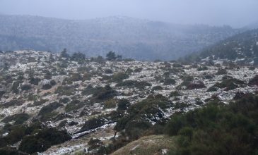 Αποκαταστάθηκε η κυκλοφορία των οχημάτων στη λεωφόρο Πάρνηθος