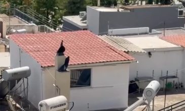 Ποινή φυλάκισης 16 μηνών, με αναστολή, στους γονείς των έξι παιδιών που ζούσαν μέσα σε ακαθαρσίες στο Περιστέρι – Το δώμα των 27 τ.μ