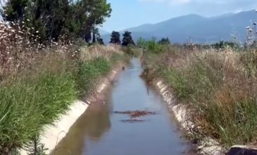 Από ηλεκτροπληξία και πνιγμό ο θάνατος του 10χρονου στις Σέρρες – Το αγόρι επιχείρησε να διασχίσει το αρδευτικό κανάλι πατώντας πάνω σε σανίδι
