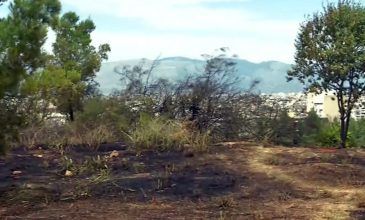 Από κάπνισμα μελισσών προκλήθηκε η πυρκαγιά στον λόφο της Φιλοθέης – Αναζητούνται οι μελισσοκόμοι