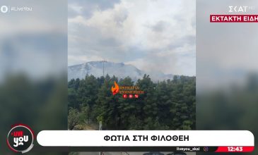 Φωτιά σε χαμηλή βλάστηση στη Φιλοθέη