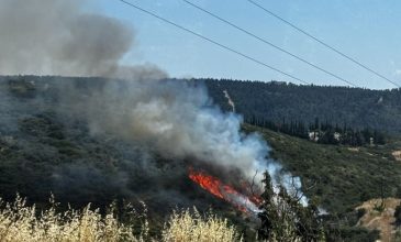 Φωτιά σε χαμηλή βλάστηση στο Φίλυρο Θεσσαλονίκης – Ήχησε το 112