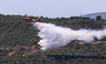 Υπό μερικό έλεγχο η φωτιά στην Ανθήλη Φθιώτιδας