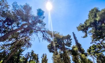 Έως τους 32 βαθμούς Κελσίου «σκαρφαλώνει» σήμερα ο υδράργυρος – Ισχυροί άνεμοι