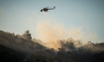 Σε ύφεση η φωτιά σε δασική έκταση στο Ακραίφνιο Βοιωτίας