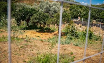 Δολοφονία της Σταυρούλας Λεβεντάκη: «Πήρα ένα κούτσουρο και την αποτελείωσα» – Σοκ προκαλεί η κυνική ομολογία του 43χρονου καθ’ ομολογίαν δράστη