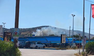 Φωτιά στον Κουβαρά Αττικής