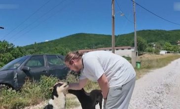 Οργή και θλίψη για τη μαζική δηλητηρίαση 21 σκύλων στο Βάβδο Χαλκιδικής