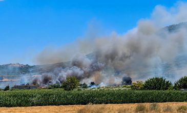 Πυρκαγιά στην Πέτρα Βοιωτίας- Εκδόθηκε 112 για απομάκρυνση των κατοίκων