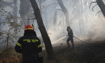 Φονική πυρκαγιά στο Ωραιόκαστρο Θεσσαλονίκης: Δύο νεκροί και μία τραυματίας – Χωρίς ενεργό πύρινο μέτωπο στη Λητή