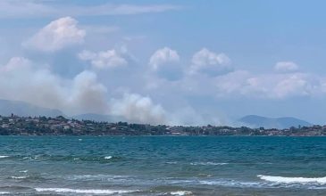 Φωτιά σε χαμηλή βλάστηση στη Δροσιά Χαλκίδας – Εστάλη μήνυμα από το 112
