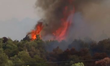 Χωρίς ενεργό μέτωπο η πυρκαγιά σε αγροτοδασική έκταση στην Οινόη