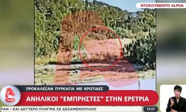 Χειροπέδες σε δύο παιδιά για φωτιά στην Εύβοια – Έριξαν κροτίδες σε χωράφι με ξερά χόρτα