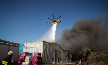 Σύλληψη 70χρονου για πρόκληση φωτιάς από αμέλεια στο Καλοχώρι – Έκαιγε χαρτί για να απομακρύνει σφίγγες