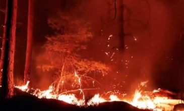 Δύο Canadair εστάλησαν για την κατάσβεση της πυρκαγιάς στο δάσος του Φοντενεμπλό, κοντά στο Παρίσι