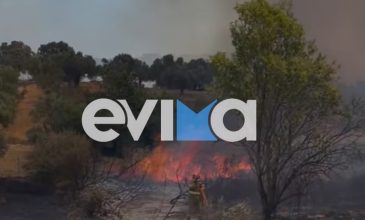 Μεγάλη πυρκαγιά στην Εύβοια: «Η φωτιά είναι γύρω από τα σπίτια μας» – Ήχησε το 112 για απομάκρυνση από τον Προφήτη Ηλία Αλιβερίου