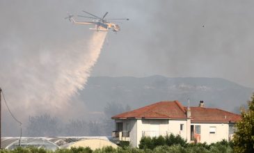 Οριοθετήθηκε η πυρκαγιά στη Σουρωτή Θεσσαλονίκης