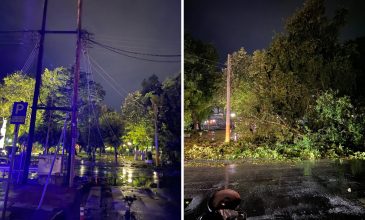 Πτώσεις δέντρων και κολώνων ηλεκτροδότησης από τους ισχυρούς ανέμους στη Δράμα