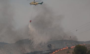 Δασική πυρκαγιά βόρεια της Μαδρίτης έχει κατακαύσει έκταση 290.000 στρεμμάτων