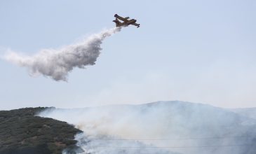 Οριοθετήθηκε η πυρκαγιά στο Περιβαλλοντικό Πάρκο Δερβενίου