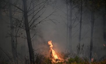 Γαλλία: Εκκενώνονται προάστια γύρω από το Μπορντό, καθώς μαίνονται οι πυρκαγιές